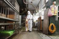 الصين تعلن أحدث حالة وفاة بانفلونزا الطيور